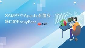 xampp中apache配置多端口的proxypass