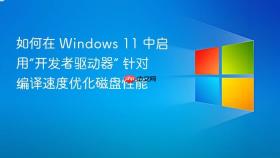 如何在 Windows 11 中启用“开发者驱动器” 针对编译速度优化磁盘性能