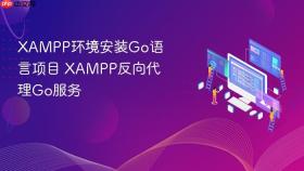xampp环境安装go语言项目 xampp反向代理go服务