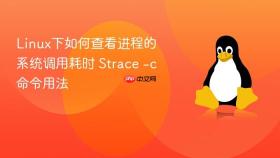 Linux下如何查看进程的系统调用耗时 Strace -c命令用法