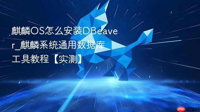 麒麟os怎么安装dbeaver_麒麟系统通用数据库工具教程【实测】