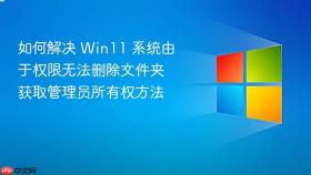 如何解决 win11 系统由于权限无法删除文件夹 获取管理员所有权方法