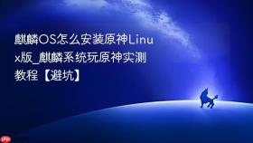 麒麟OS怎么安装原神Linux版_麒麟系统玩原神实测教程【避坑】