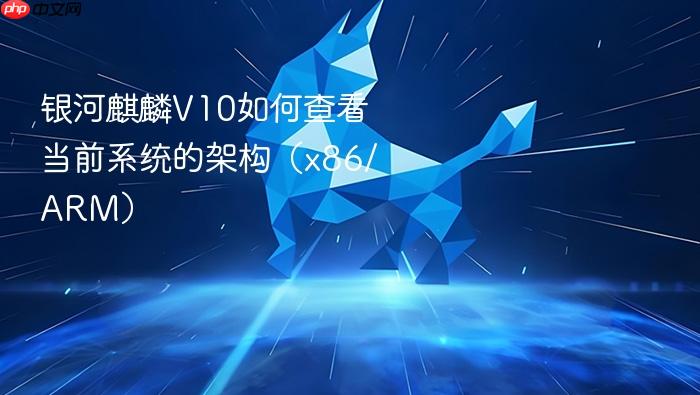 银河麒麟v10如何查看当前系统的架构(x86/arm)