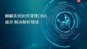 麒麟系统如何清理dns缓存 解决解析错误