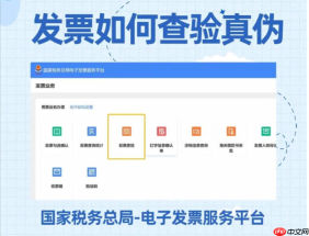 数电票(全电发票)查验 官方综合服务平台入口