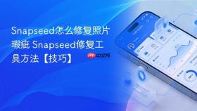 snapseed怎么修复照片瑕疵 snapseed修复工具方法【技巧】