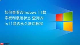 如何查看windows 11数字权利激活状态 查询win11是否永久激活教程