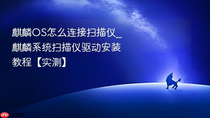 麒麟os怎么连接扫描仪_麒麟系统扫描仪驱动安装教程【实测】