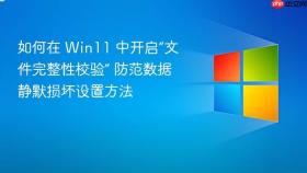 如何在 win11 中开启“文件完整性校验” 防范数据静默损坏设置方法
