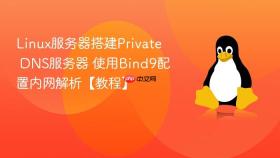 Linux服务器搭建Private DNS服务器 使用Bind9配置内网解析【教程】