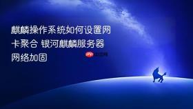 麒麟操作系统如何设置网卡聚合 银河麒麟服务器网络加固