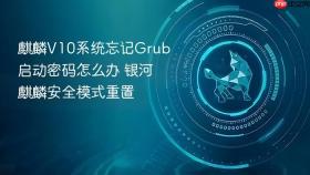 麒麟v10系统忘记grub启动密码怎么办 银河麒麟安全模式重置