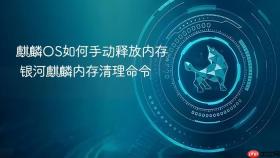 麒麟OS如何手动释放内存 银河麒麟内存清理命令