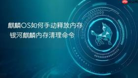 麒麟os如何手动释放内存 银河麒麟内存清理命令