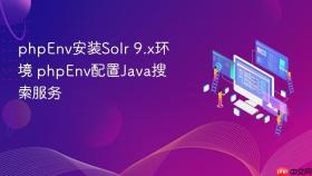 phpenv安装solr 9.x环境 phpenv配置java搜索服务