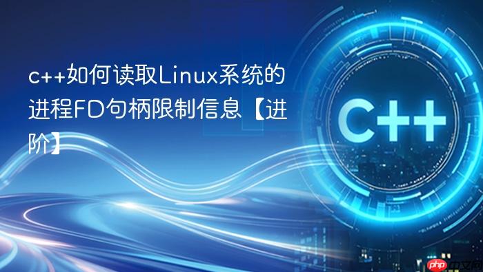c++如何读取linux系统的进程fd句柄限制信息【进阶】