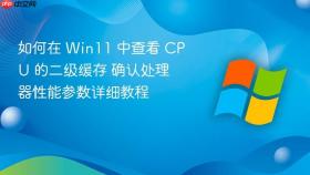 如何在 win11 中查看 cpu 的二级缓存 确认处理器性能参数详细教程