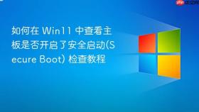 如何在 win11 中查看主板是否开启了安全启动(secure boot) 检查教程