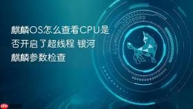 麒麟OS怎么查看CPU是否开启了超线程 银河麒麟参数检查