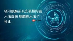 银河麒麟系统安装搜狗输入法皮肤 麒麟输入法个性化