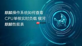 麒麟操作系统如何查看CPU单核实时负载 银河麒麟性能表