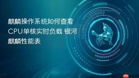 麒麟操作系统如何查看cpu单核实时负载 银河麒麟性能表