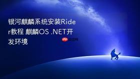 银河麒麟系统安装Rider教程 麒麟OS .NET开发环境