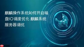 麒麟操作系统如何开启磁盘io调度优化 麒麟系统服务器调优