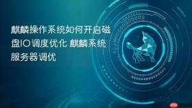 麒麟操作系统如何开启磁盘IO调度优化 麒麟系统服务器调优