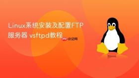 Linux系统安装及配置FTP服务器 vsftpd教程