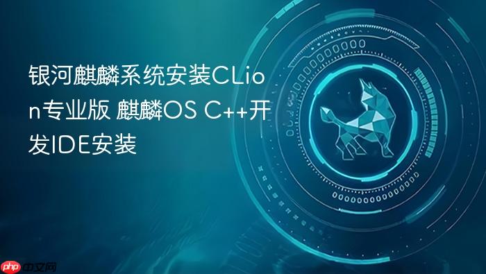 银河麒麟系统安装clion专业版 麒麟os c++开发ide安装