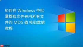 如何在 windows 中批量提取文件夹内所有文件的 md5 值 校验数据教程