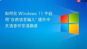 如何在 windows 11 中启用“自然语言输入” 提升中文语音听写准确度