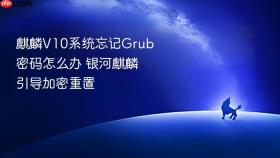 麒麟v10系统忘记grub密码怎么办 银河麒麟引导加密重置