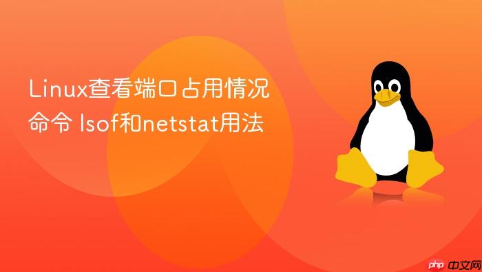 linux查看端口占用情况命令 lsof和netstat用法