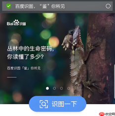 百度识图免费入口 百度识图网页版在线入口