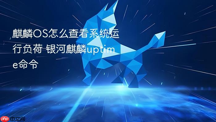 麒麟os怎么查看系统运行负荷 银河麒麟uptime命令
