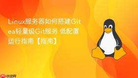 Linux服务器如何搭建Gitea轻量级Git服务 低配置运行指南【指南】