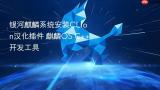 银河麒麟系统安装CLion汉化插件 麒麟OS C++开发工具