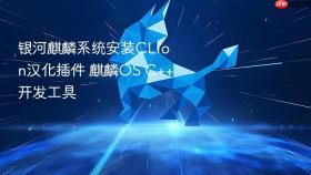 银河麒麟系统安装CLion汉化插件 麒麟OS C++开发工具
