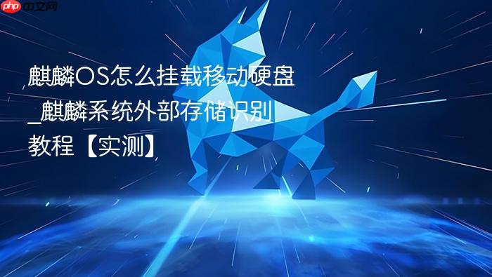 麒麟os怎么挂载移动硬盘_麒麟系统外部存储识别教程【实测】