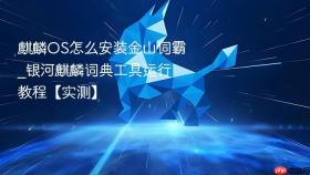 麒麟os怎么安装金山词霸_银河麒麟词典工具运行教程【实测】