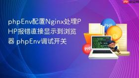 phpEnv配置Nginx处理PHP报错直接显示到浏览器 phpEnv调试开关