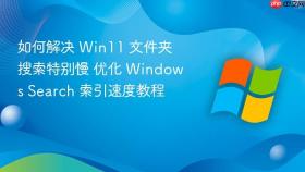如何解决 win11 文件夹搜索特别慢 优化 windows search 索引速度教程