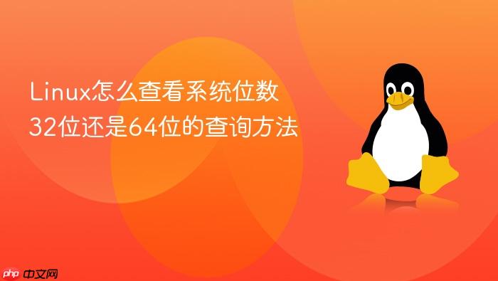 linux怎么查看系统位数 32位还是64位的查询方法