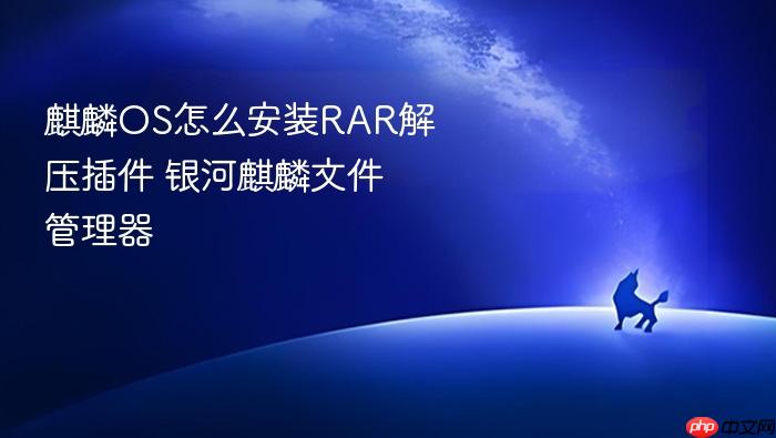 麒麟os怎么安装rar解压插件 银河麒麟文件管理器