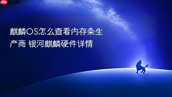 麒麟os怎么查看内存条生产商 银河麒麟硬件详情