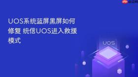 uos系统蓝屏黑屏如何修复 统信uos进入救援模式