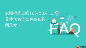 衣服标签上的165/88a具体代表什么身高和胸围尺寸？